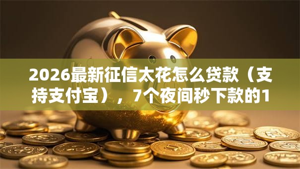 2026最新征信太花怎么贷款(支持支付宝),7个夜间秒下款的14天口子无私分享 2026最新征信太花怎么贷款(支持支付宝),7个夜间秒下款的14天口子无私分享