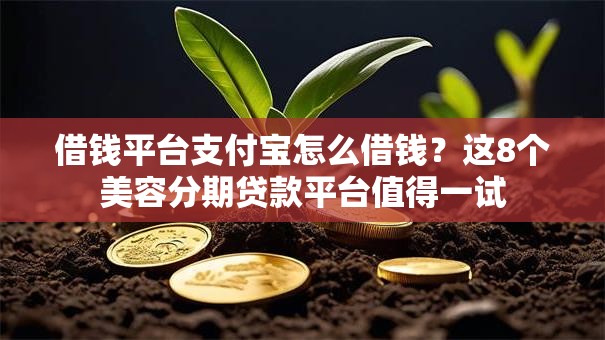 借钱平台支付宝怎么借钱?这8个美容分期贷款平台值得一试 借钱平台支付宝怎么借钱?这8个美容分期贷款平台值得一试