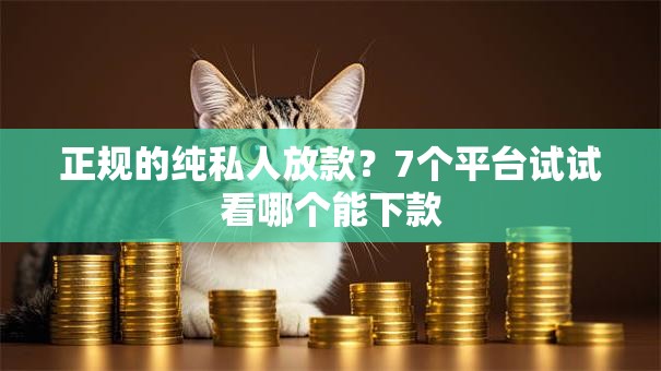 正规的纯私人放款?7个平台试试看哪个能下款 正规的纯私人放款?7个平台试试看哪个能下款