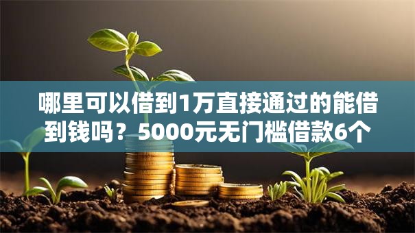 哪里可以借到1万直接通过的能借到钱吗?5000元无门槛借款6个平台推荐 哪里可以借到1万直接通过的能借到钱吗?5000元无门槛借款6个平台推荐