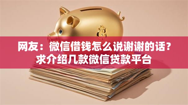 网友:微信借钱怎么说谢谢的话?求介绍几款微信贷款平台 网友:微信借钱怎么说谢谢的话?求介绍几款微信贷款平台