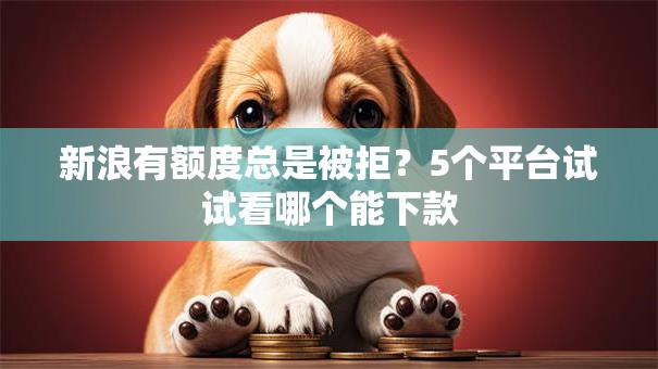 新浪有额度总是被拒?5个平台试试看哪个能下款 新浪有额度总是被拒?5个平台试试看哪个能下款