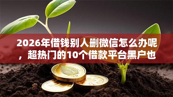 2026年借钱别人删微信怎么办呢,超热门的10个借款平台黑户也能借款推荐 2026年借钱别人删微信怎么办呢,超热门的10个借款平台黑户也能借款推荐
