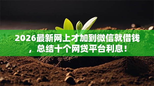 2026最新网上才加到微信就借钱,总结十个网贷平台利息! 2026最新网上才加到微信就借钱,总结十个网贷平台利息!