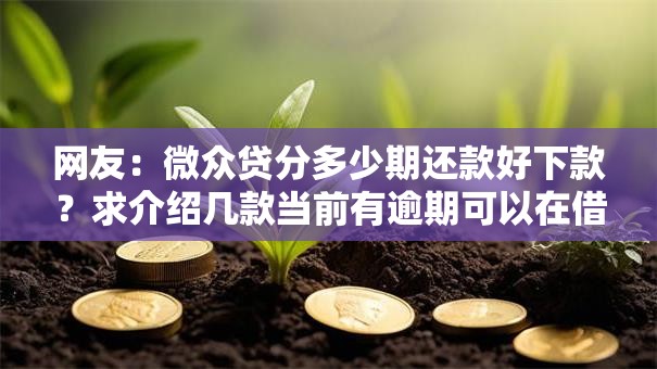 网友:微众贷分多少期还款好下款?求介绍几款当前有逾期可以在借款平台借钱 网友:微众贷分多少期还款好下款?求介绍几款当前有逾期可以在借款平台借钱