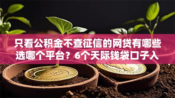 只看公积金不查征信的网贷有哪些选哪个平台?6个天际钱袋口子入口推荐 只看公积金不查征信的网贷有哪些选哪个平台?6个天际钱袋口子入口推荐