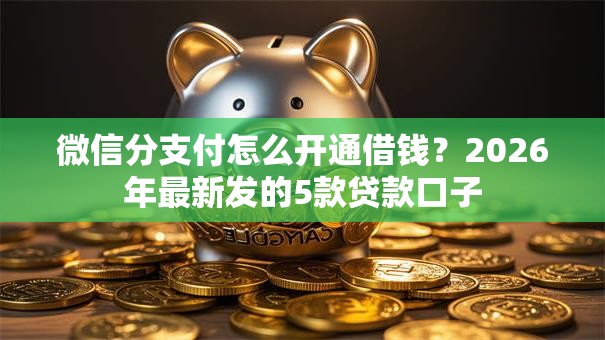 微信分支付怎么开通借钱?2026年最新发的5款贷款口子 微信分支付怎么开通借钱?2026年最新发的5款贷款口子