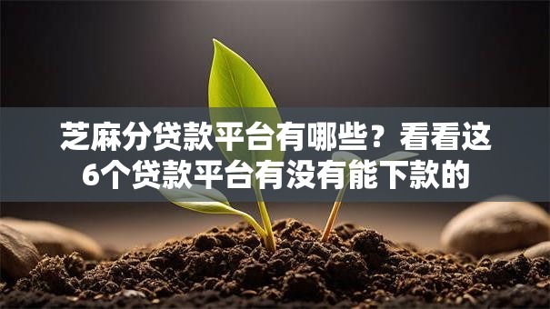 芝麻分贷款平台有哪些?看看这6个贷款平台有没有能下款的 芝麻分贷款平台有哪些?看看这6个贷款平台有没有能下款的