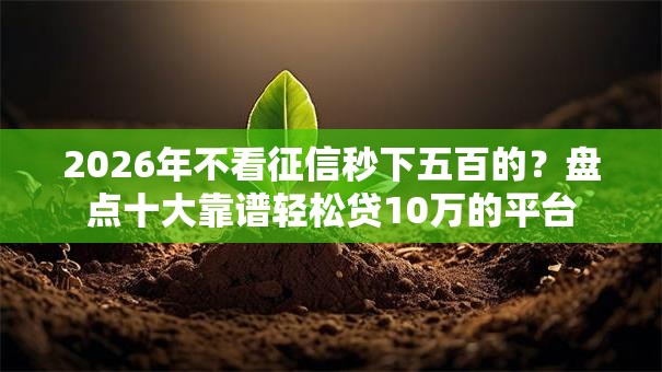 2026年不看征信秒下五百的?盘点十大靠谱轻松贷10万的平台 2026年不看征信秒下五百的?盘点十大靠谱轻松贷10万的平台