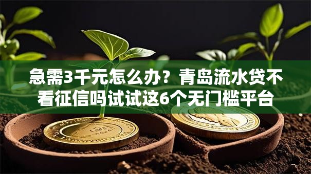 急需3千元怎么办?青岛流水贷不看征信吗试试这6个无门槛平台 急需3千元怎么办?青岛流水贷不看征信吗试试这6个无门槛平台
