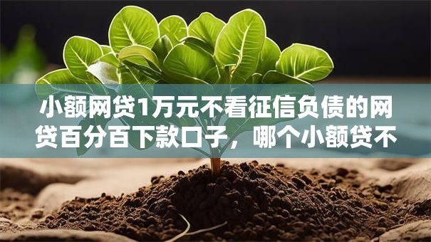 小额网贷1万元不看征信负债的网贷百分百下款口子，哪个小额贷不查征信的7个平台介绍