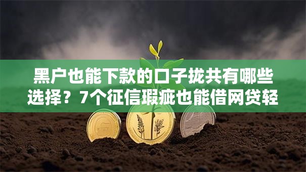 黑户也能下款的口子拢共有哪些选择？7个征信瑕疵也能借网贷轻松下款的软件详解