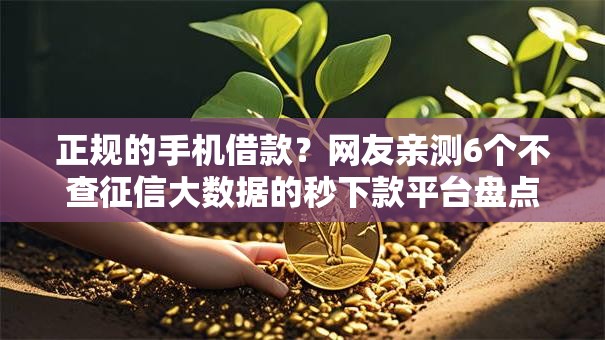 正规的手机借款?网友亲测6个不查征信大数据的秒下款平台盘点 正规的手机借款?网友亲测6个不查征信大数据的秒下款平台盘点