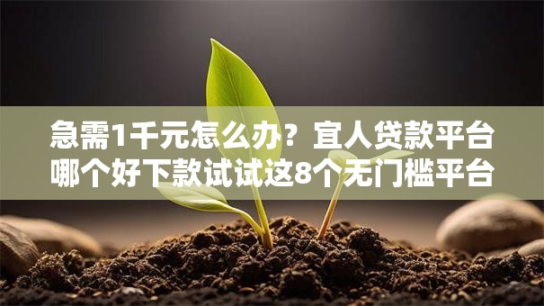 急需1千元怎么办?宜人贷款平台哪个好下款试试这8个无门槛平台 急需1千元怎么办?宜人贷款平台哪个好下款试试这8个无门槛平台