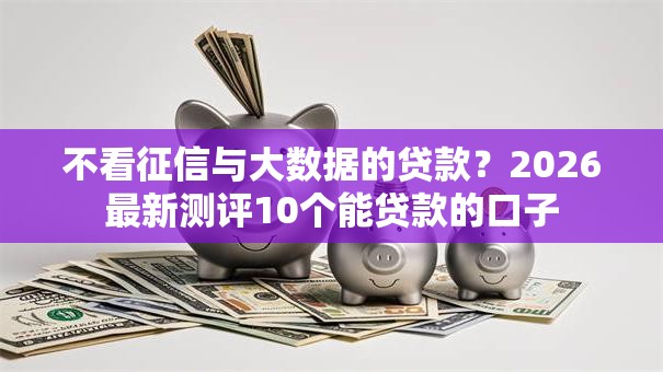 不看征信与大数据的贷款？2026最新测评10个能贷款的口子