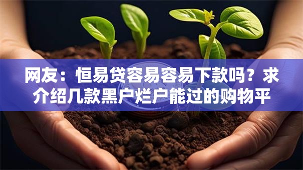 网友:恒易贷容易容易下款吗?求介绍几款黑户烂户能过的购物平台 网友:恒易贷容易容易下款吗?求介绍几款黑户烂户能过的购物平台