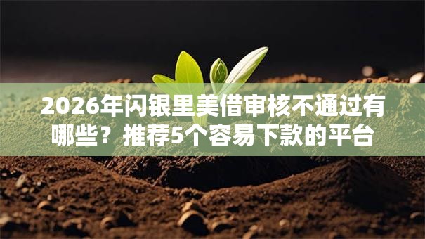 2026年闪银里美借审核不通过有哪些?推荐5个容易下款的平台 2026年闪银里美借审核不通过有哪些?推荐5个容易下款的平台