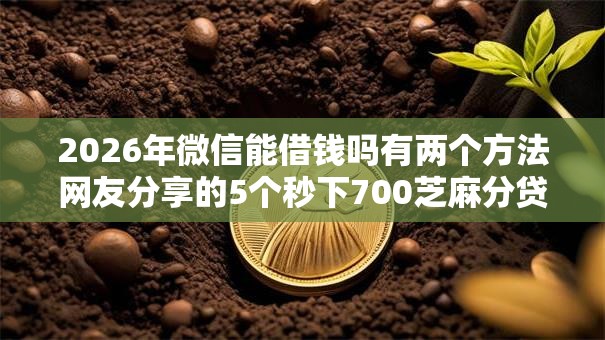 2026年微信能借钱吗有两个方法网友分享的5个秒下700芝麻分贷款平台我觉得不错! 2026年微信能借钱吗有两个方法网友分享的5个秒下700芝麻分贷款平台我觉得不错!