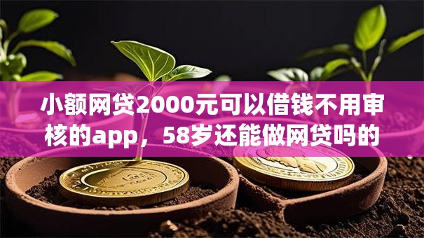 小额网贷2000元可以借钱不用审核的app,58岁还能做网贷吗的5个平台介绍 小额网贷2000元可以借钱不用审核的app,58岁还能做网贷吗的5个平台介绍