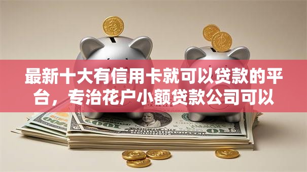 最新十大有信用卡就可以贷款的平台,专治花户小额贷款公司可以贷款吗 最新十大有信用卡就可以贷款的平台,专治花户小额贷款公司可以贷款吗