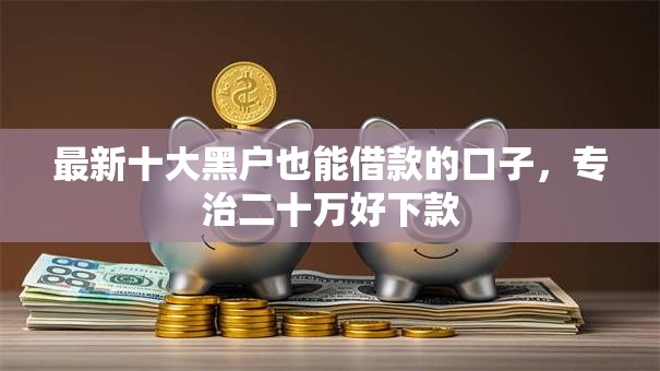最新十大黑户也能借款的口子，专治二十万好下款