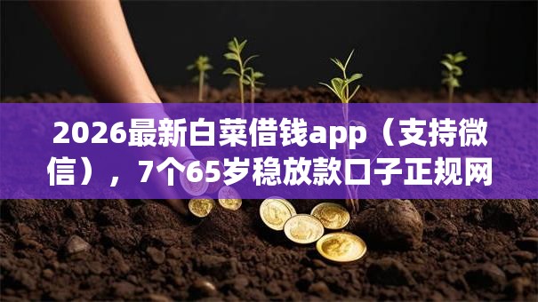 2026最新白菜借钱app(支持微信),7个65岁稳放款口子正规网贷无私分享 2026最新白菜借钱app(支持微信),7个65岁稳放款口子正规网贷无私分享