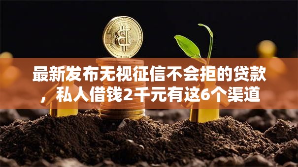 最新发布无视征信不会拒的贷款,私人借钱2千元有这6个渠道 最新发布无视征信不会拒的贷款,私人借钱2千元有这6个渠道