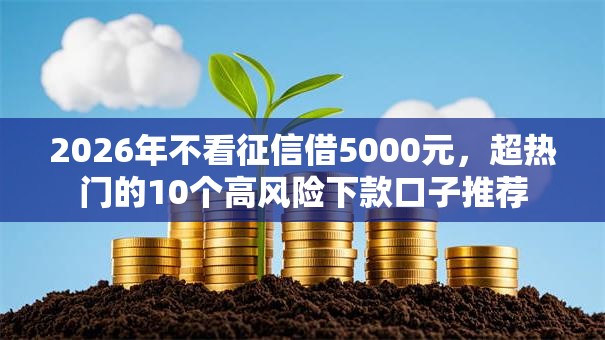 2026年不看征信借5000元,超热门的10个高风险下款口子推荐 2026年不看征信借5000元,超热门的10个高风险下款口子推荐