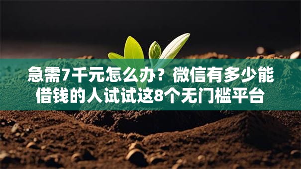 急需7千元怎么办?微信有多少能借钱的人试试这8个无门槛平台 急需7千元怎么办?微信有多少能借钱的人试试这8个无门槛平台