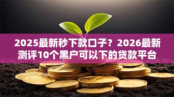2025最新秒下款口子？2026最新测评10个黑户可以下的贷款平台