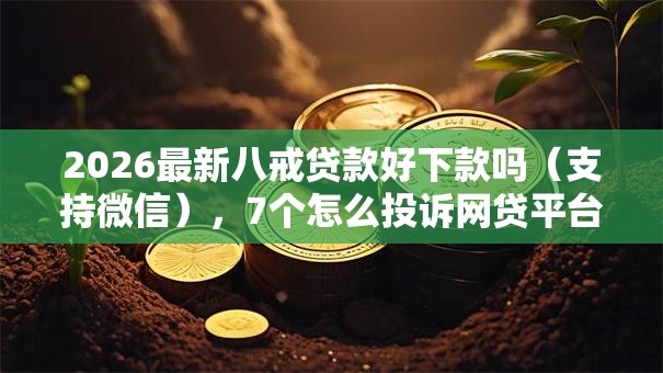 2026最新八戒贷款好下款吗（支持微信），7个怎么投诉网贷平台无私分享
