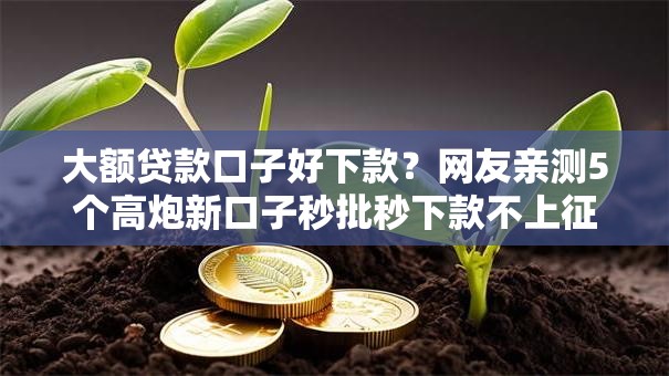 大额贷款口子好下款?网友亲测5个高炮新口子秒批秒下款不上征信不用还的盘点 大额贷款口子好下款?网友亲测5个高炮新口子秒批秒下款不上征信不用还的盘点