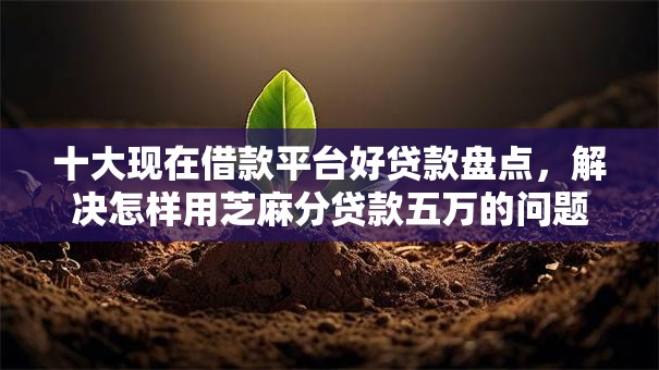 十大现在借款平台好贷款盘点,解决怎样用芝麻分贷款五万的问题 十大现在借款平台好贷款盘点,解决怎样用芝麻分贷款五万的问题