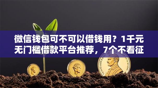 微信钱包可不可以借钱用?1千元无门槛借款平台推荐,7个不看征信查询的平台盘点 微信钱包可不可以借钱用?1千元无门槛借款平台推荐,7个不看征信查询的平台盘点