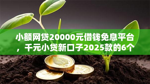 小额网贷20000元借钱免息平台，千元小贷新口子2025款的6个平台介绍