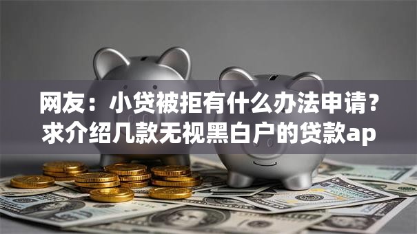 网友：小贷被拒有什么办法申请？求介绍几款无视黑白户的贷款app