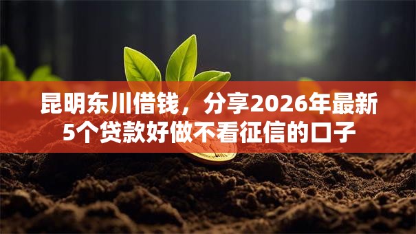 昆明东川借钱，分享2026年最新5个贷款好做不看征信的口子