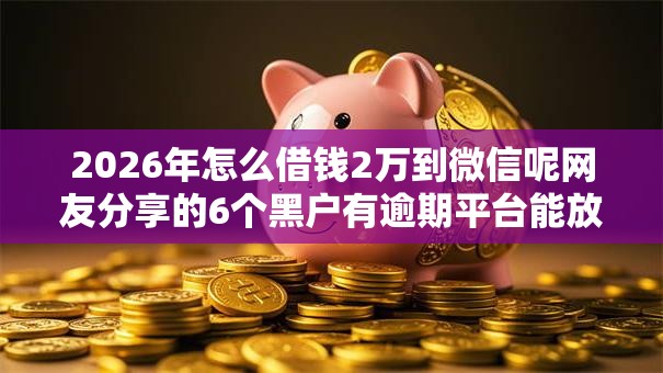 2026年怎么借钱2万到微信呢网友分享的6个黑户有逾期平台能放款我觉得不错！