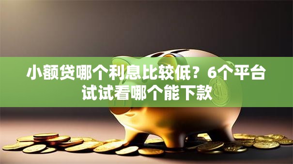 小额贷哪个利息比较低?6个平台试试看哪个能下款 小额贷哪个利息比较低?6个平台试试看哪个能下款