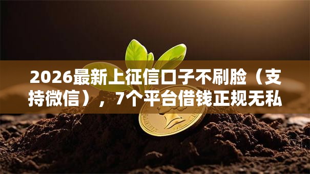 2026最新上征信口子不刷脸（支持微信），7个平台借钱正规无私分享