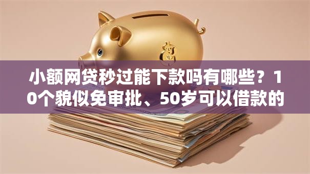 小额网贷秒过能下款吗有哪些?10个貌似免审批、50岁可以借款的网贷平台合集 小额网贷秒过能下款吗有哪些?10个貌似免审批、50岁可以借款的网贷平台合集