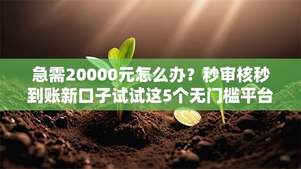 急需20000元怎么办？秒审核秒到账新口子试试这5个无门槛平台