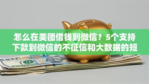 怎么在美团借钱到微信？5个支持下款到微信的不征信和大数据的短期网贷适合58岁的平台