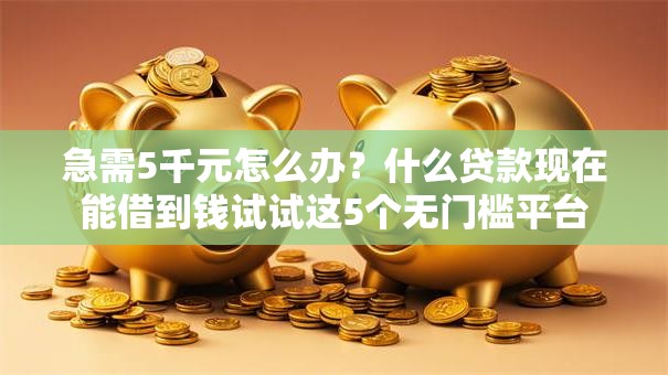 急需5千元怎么办？什么贷款现在能借到钱试试这5个无门槛平台