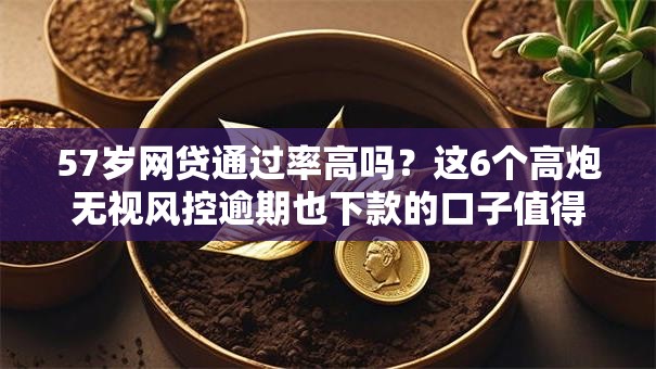 57岁网贷通过率高吗?这6个高炮无视风控逾期也下款的口子值得一试 57岁网贷通过率高吗?这6个高炮无视风控逾期也下款的口子值得一试