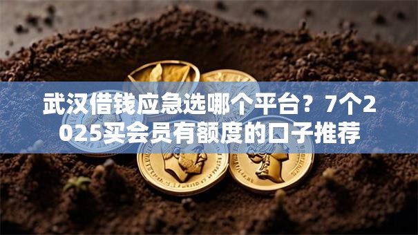 武汉借钱应急选哪个平台？7个2025买会员有额度的口子推荐