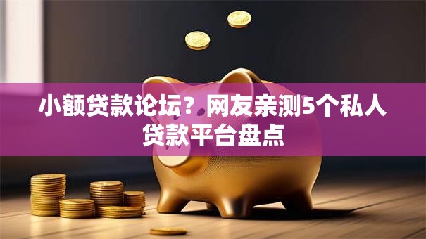 小额贷款论坛?网友亲测5个私人贷款平台盘点 小额贷款论坛?网友亲测5个私人贷款平台盘点
