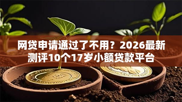 网贷申请通过了不用？2026最新测评10个17岁小额贷款平台