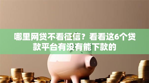 哪里网贷不看征信？看看这6个贷款平台有没有能下款的