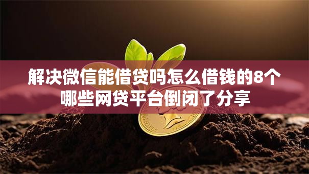 解决微信能借贷吗怎么借钱的8个哪些网贷平台倒闭了分享